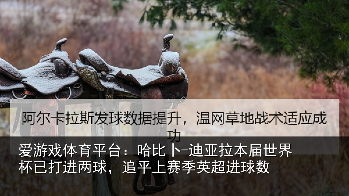 爱游戏体育平台：哈比相关情况杯已相关情况季英超进球数