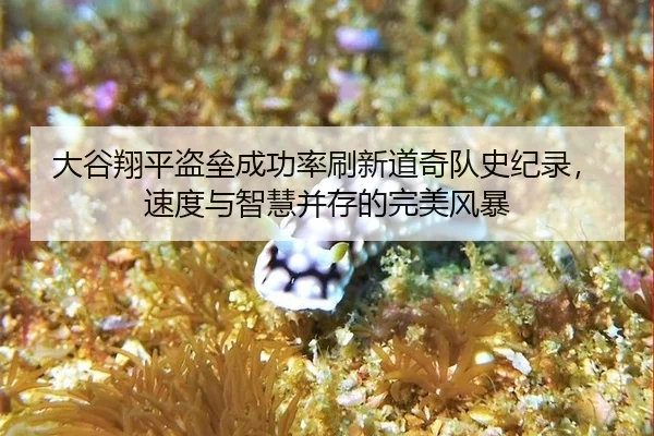 大谷翔平盗垒成功率刷新道奇队史纪录，速度与智慧并存的完美风暴